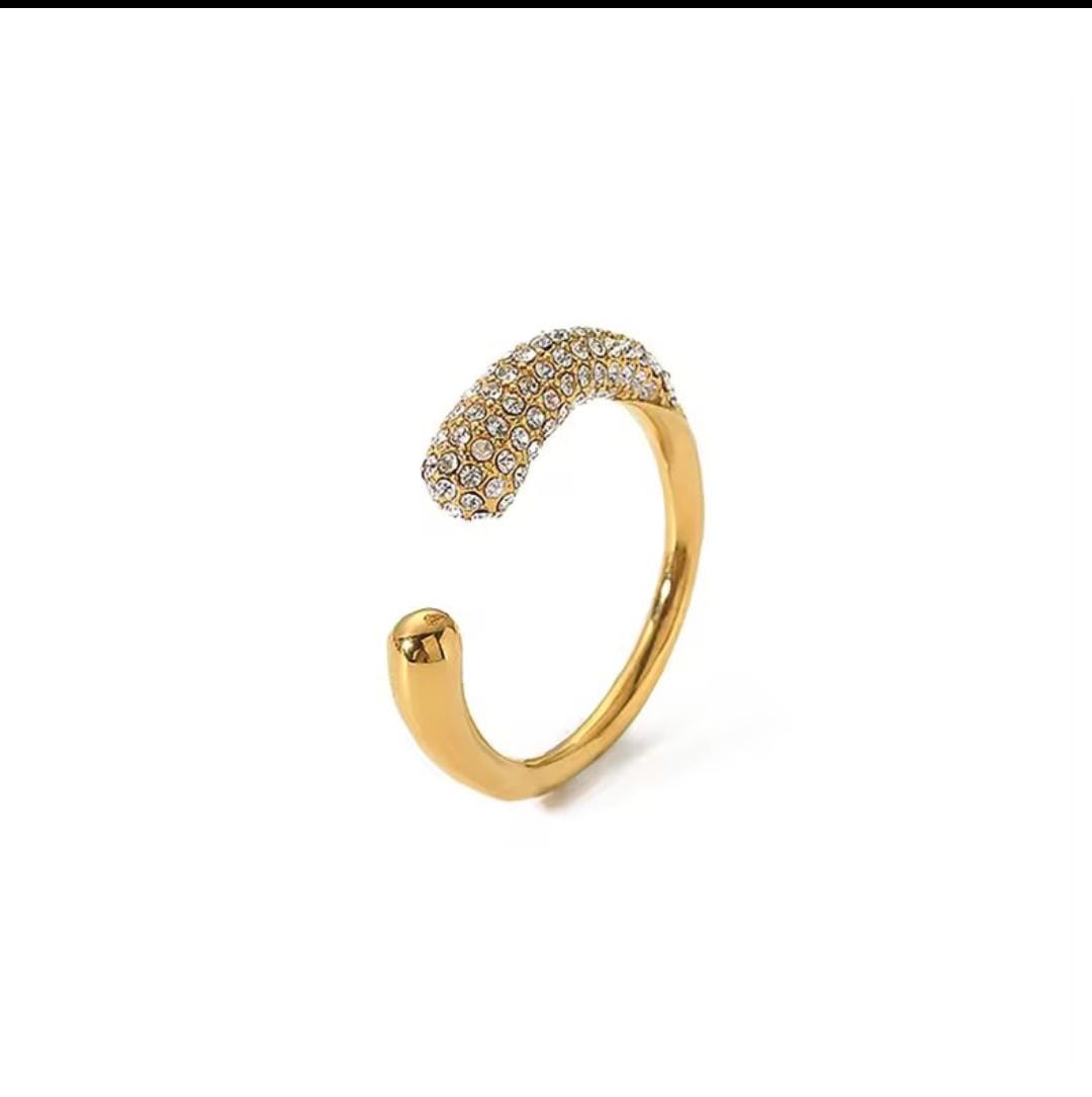 Stainless Steel Ring with Zarqoons