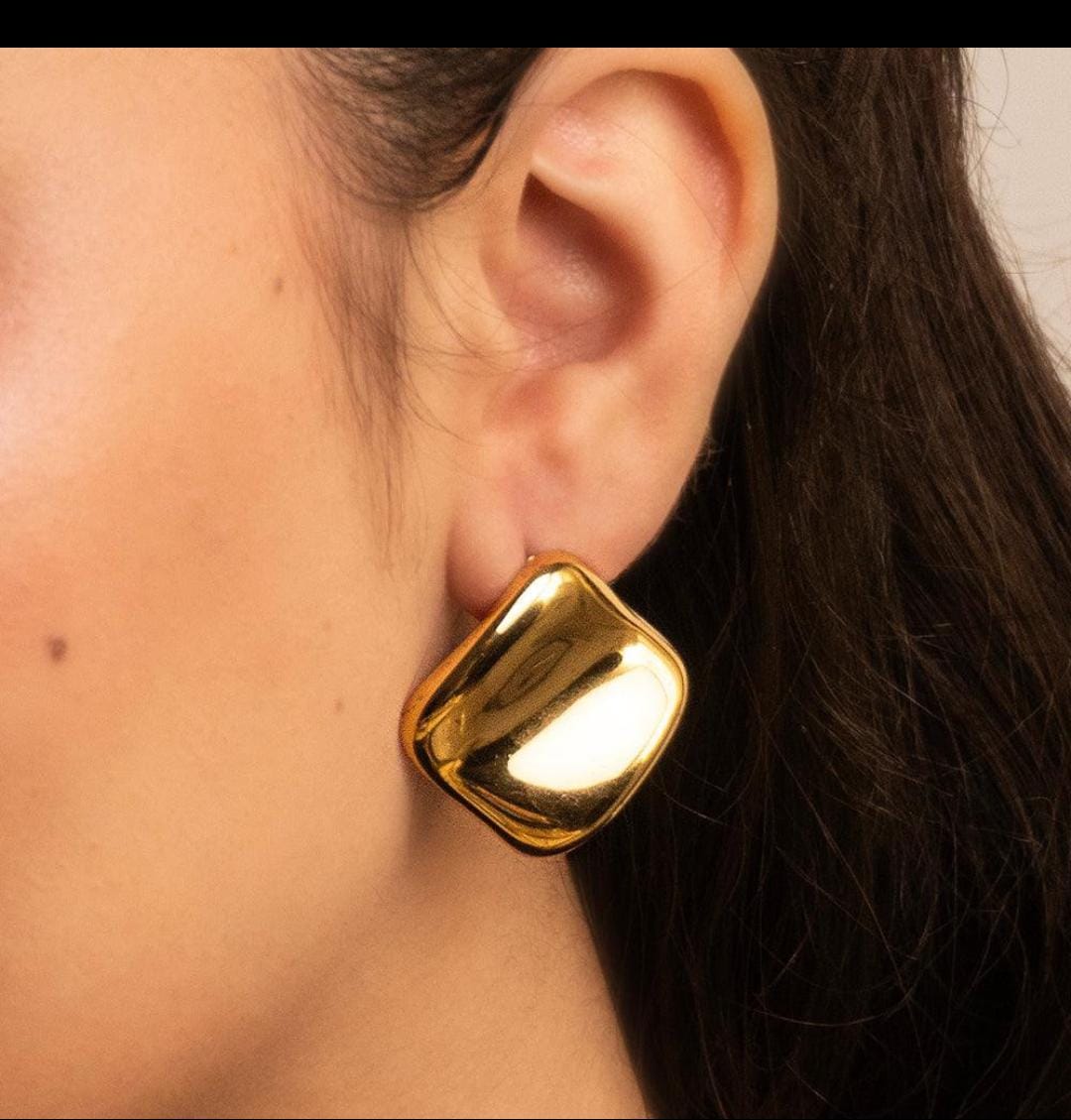 Premium Quality Stainless Steel Statement Earrings