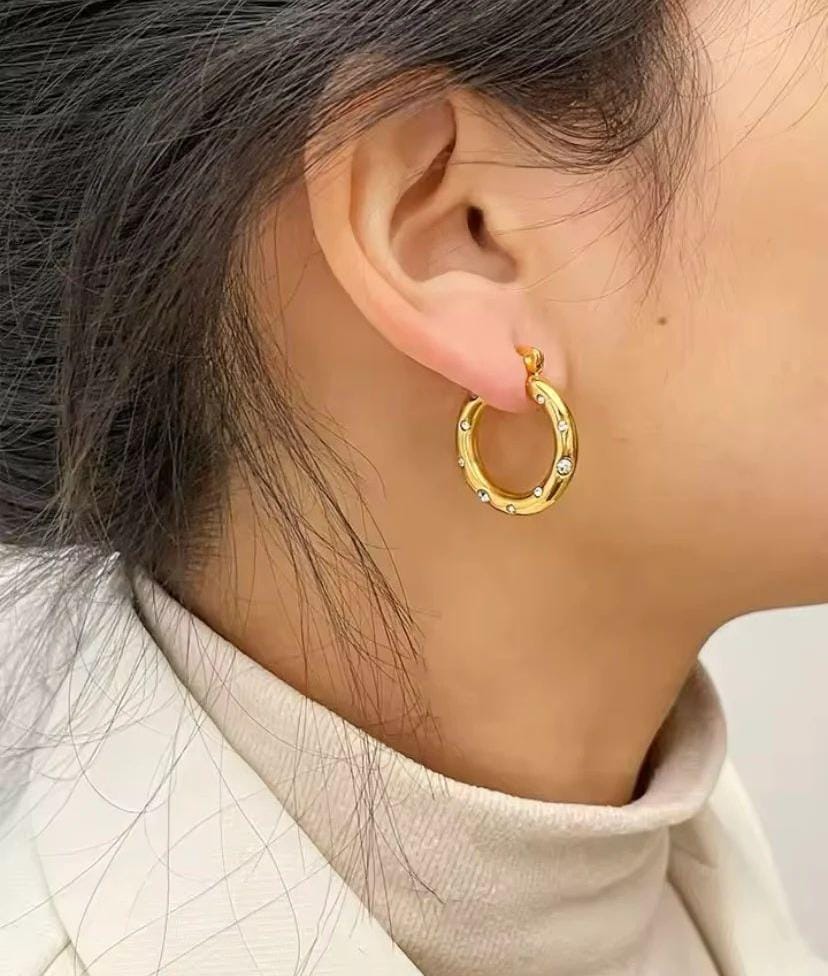 Premium Quality Stainless Steel Hoop Earrings